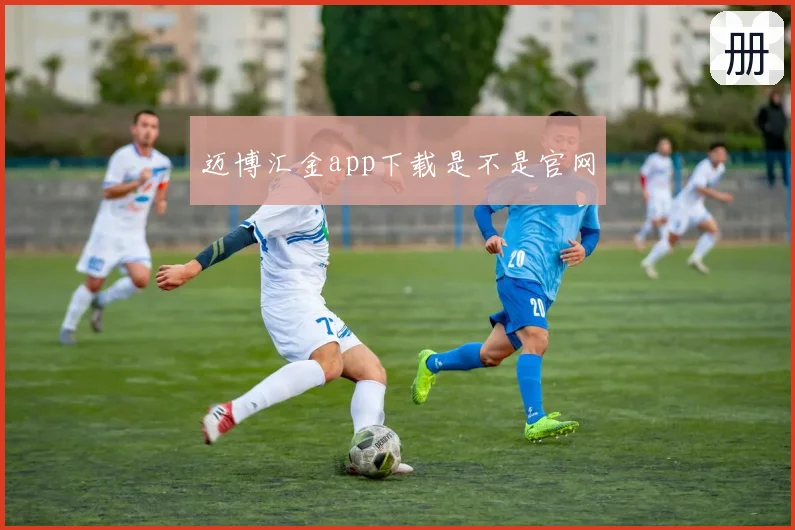 迈博汇金app下载是不是官网