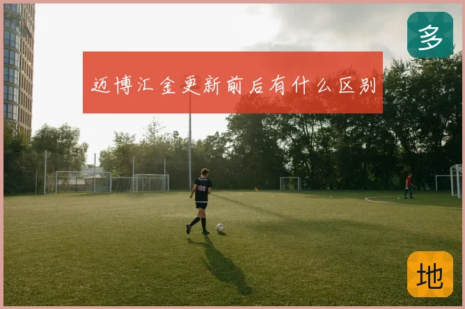 迈博汇金更新前后有什么区别